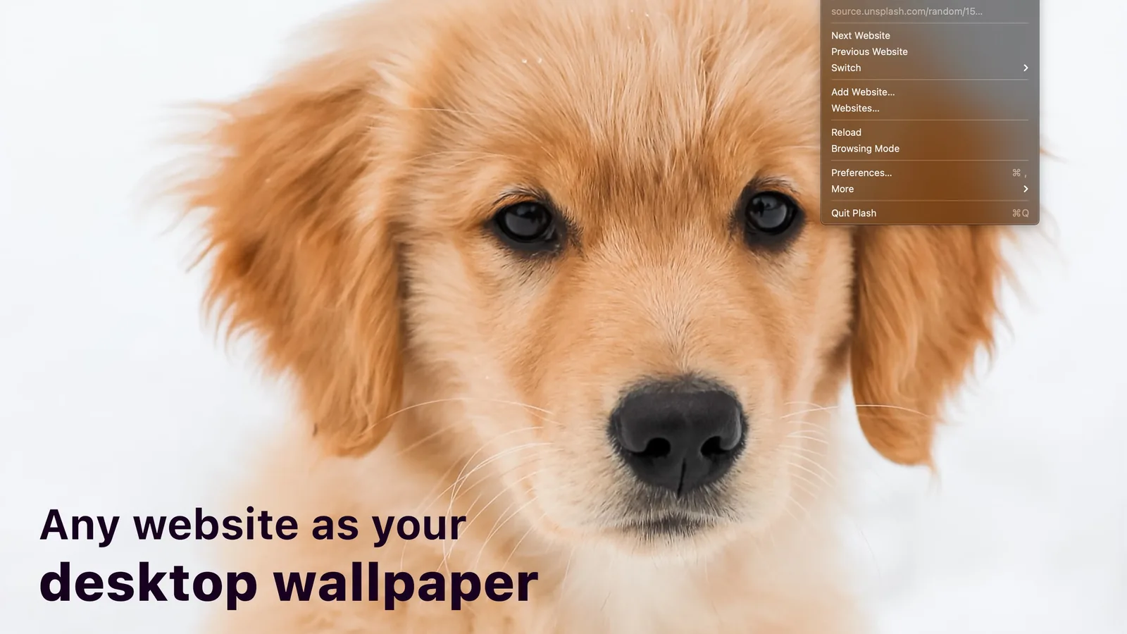 Plash showing a puppy photo website as the Mac desktop wallpaper with the Plash menu open